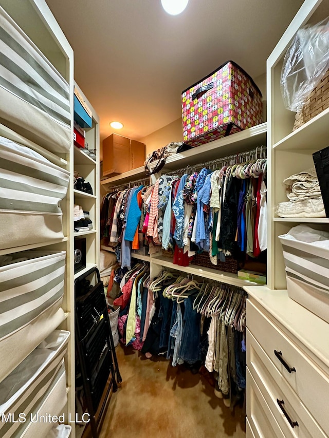 walk in closet with carpet flooring