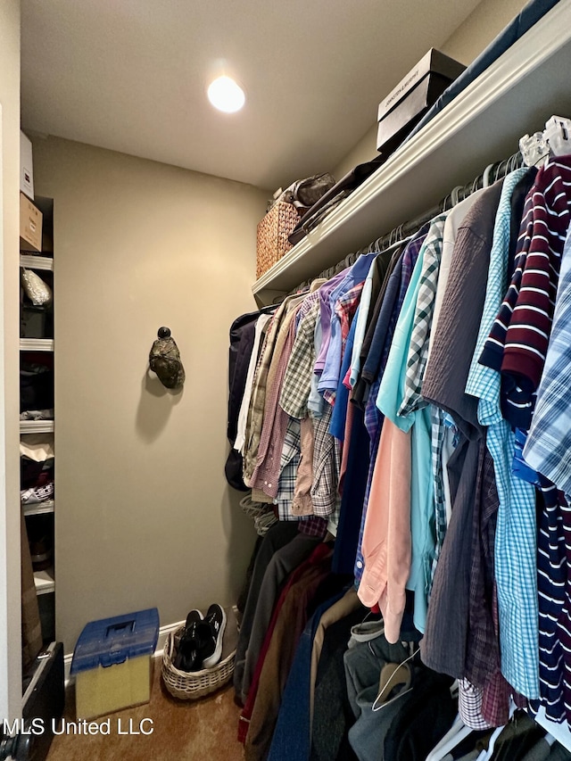 4 Mallard Xing, Raymond, MS 39154 - walk in closet featuring carpet floors