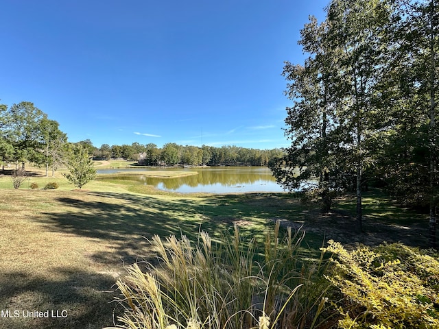 property view of water