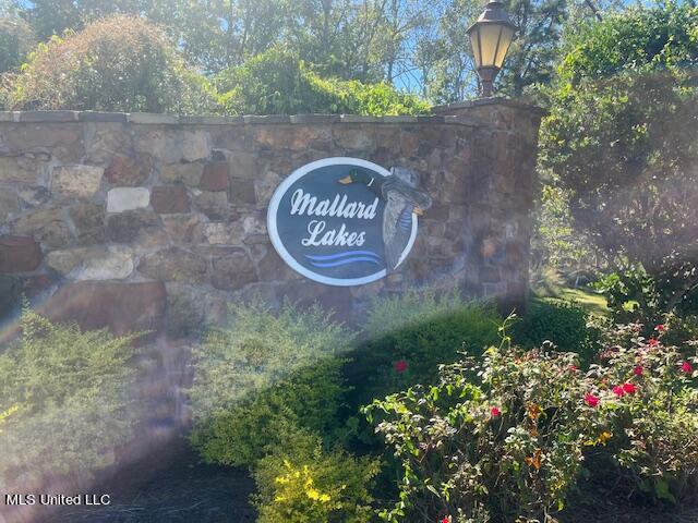 4 Mallard Xing, Raymond, MS 39154 - view of community / neighborhood sign