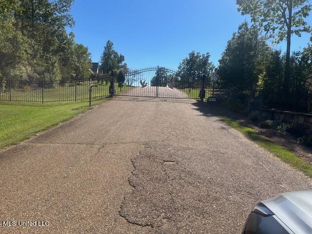4 Mallard Xing, Raymond, MS 39154 - view of road featuring a gate