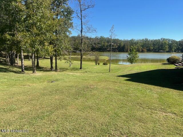 4 Mallard Xing, Raymond, MS 39154 - view of green lawn with a water view