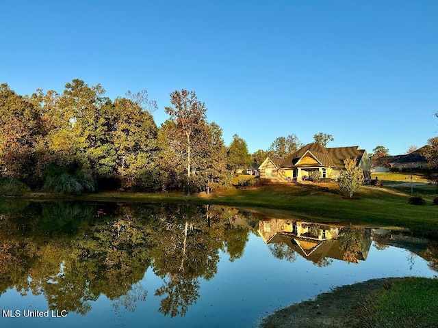 view of water feature