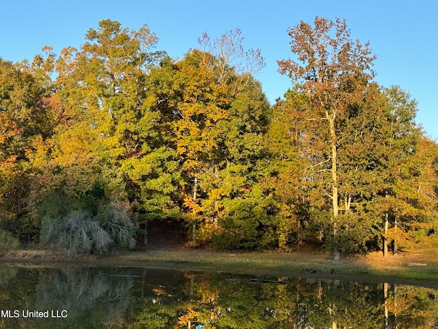 view of nature with a water view