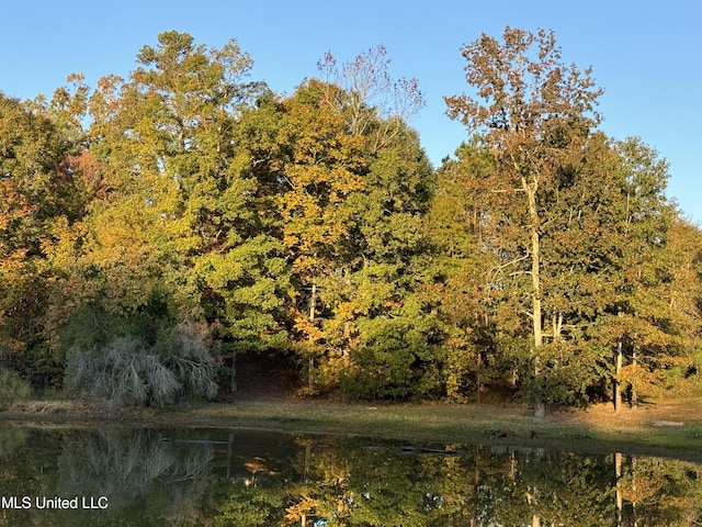 4 Mallard Xing, Raymond, MS 39154 - water view with a heavily wooded area