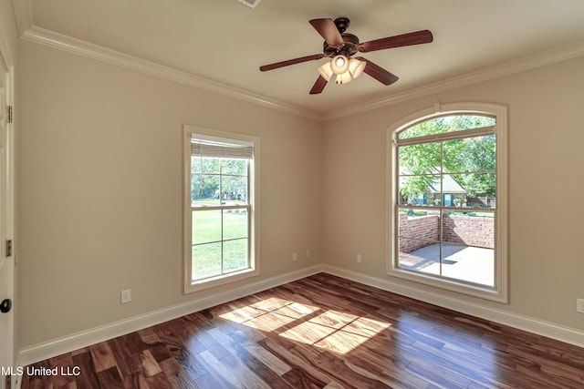 spare room featuring ornamental molding, dark hardwood / wood-style floors, and plenty of natural light