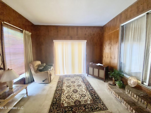 613 Georgetown St, Hazlehurst, MS 39083 - living area featuring wood walls and carpet floors