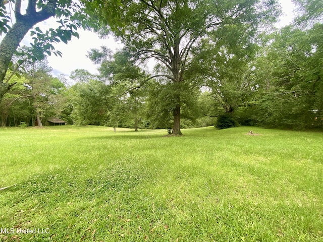 613 Georgetown St, Hazlehurst, MS 39083 - view of yard