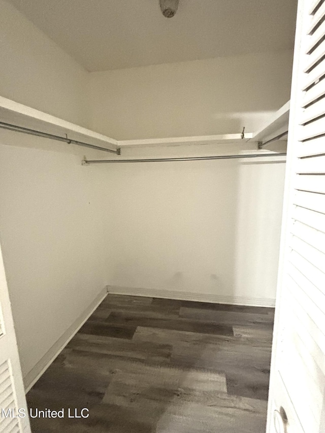 spacious closet with wood finished floors