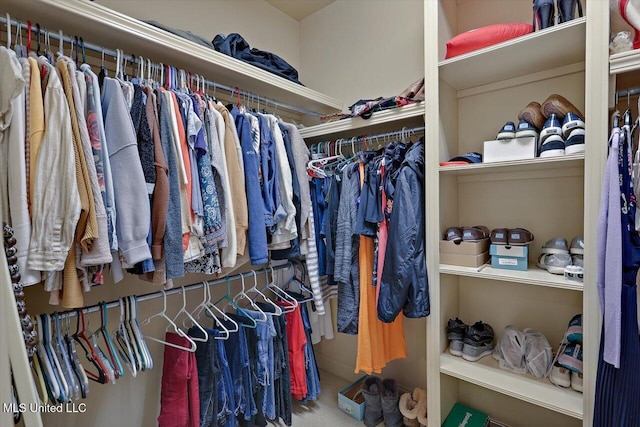 view of walk in closet