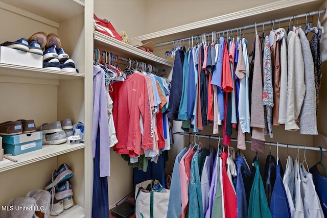 view of walk in closet