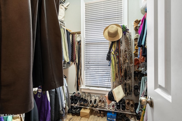 view of walk in closet