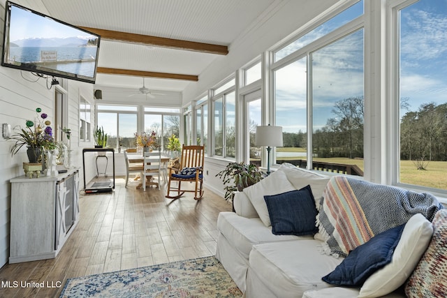 sunroom with a ceiling fan and beamed ceiling