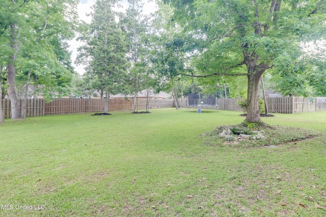 view of yard featuring a trampoline