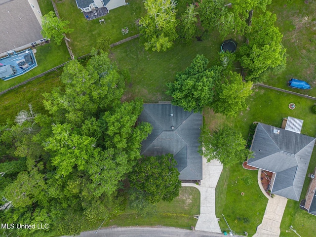 bird's eye view