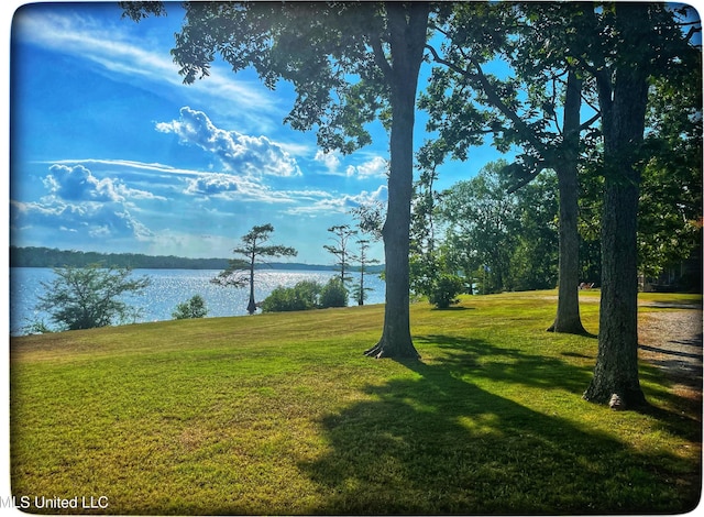 exterior space with a lawn and a water view