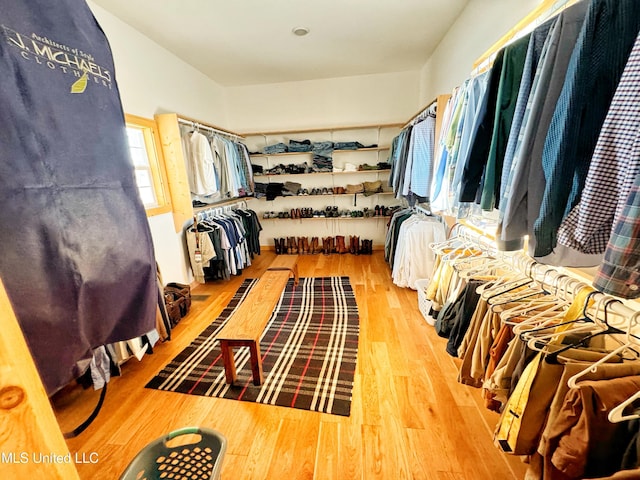 walk in closet with wood-type flooring