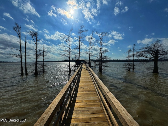 dock area with a water view