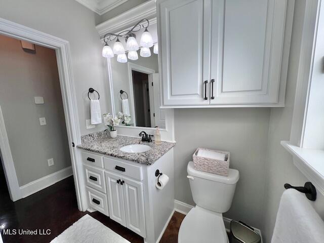 bathroom with vanity, wood-type flooring, and toilet