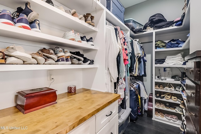 walk in closet featuring hardwood / wood-style floors