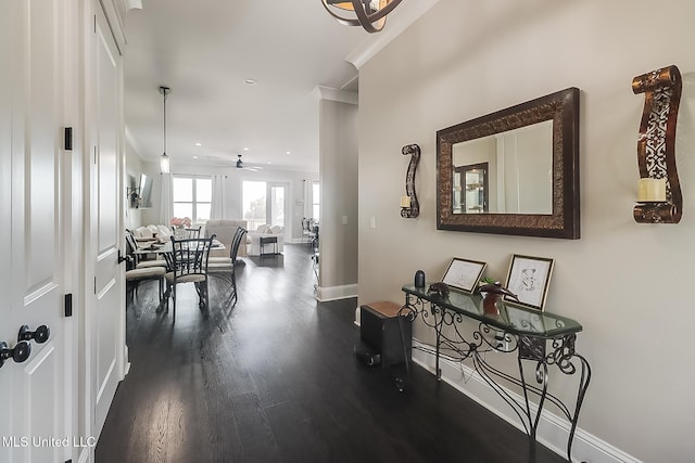 hall with dark hardwood / wood-style flooring and crown molding