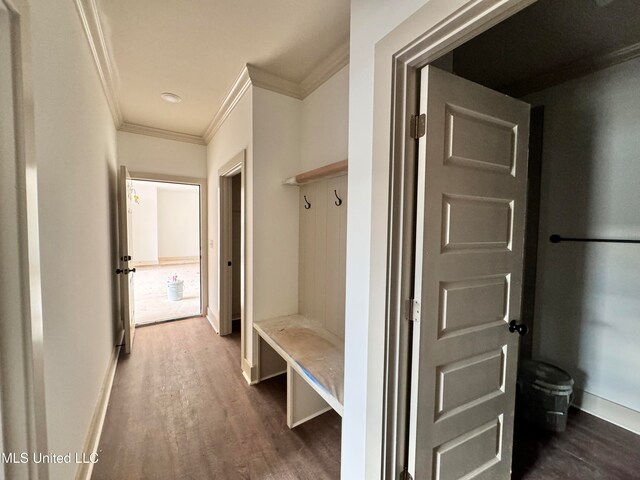 mudroom with dark wood-type flooring and crown molding