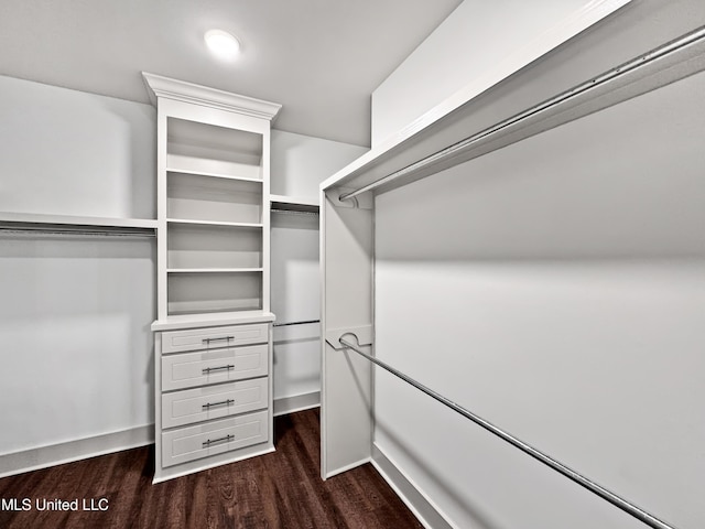 walk in closet featuring dark hardwood / wood-style flooring