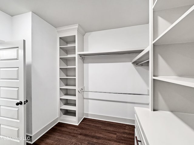 spacious closet with dark hardwood / wood-style floors