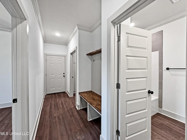 mudroom with ornamental molding and dark wood-type flooring