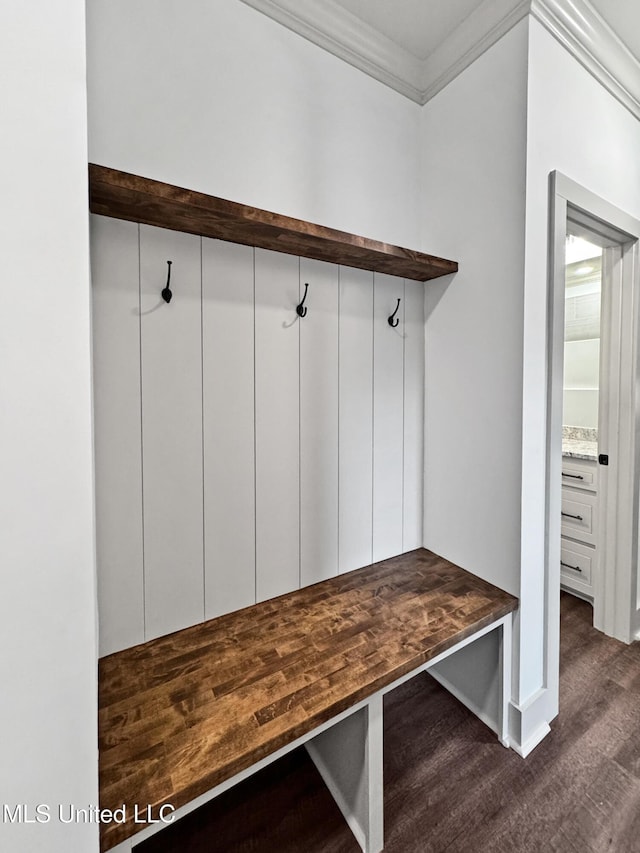 mudroom featuring crown molding and dark hardwood / wood-style floors