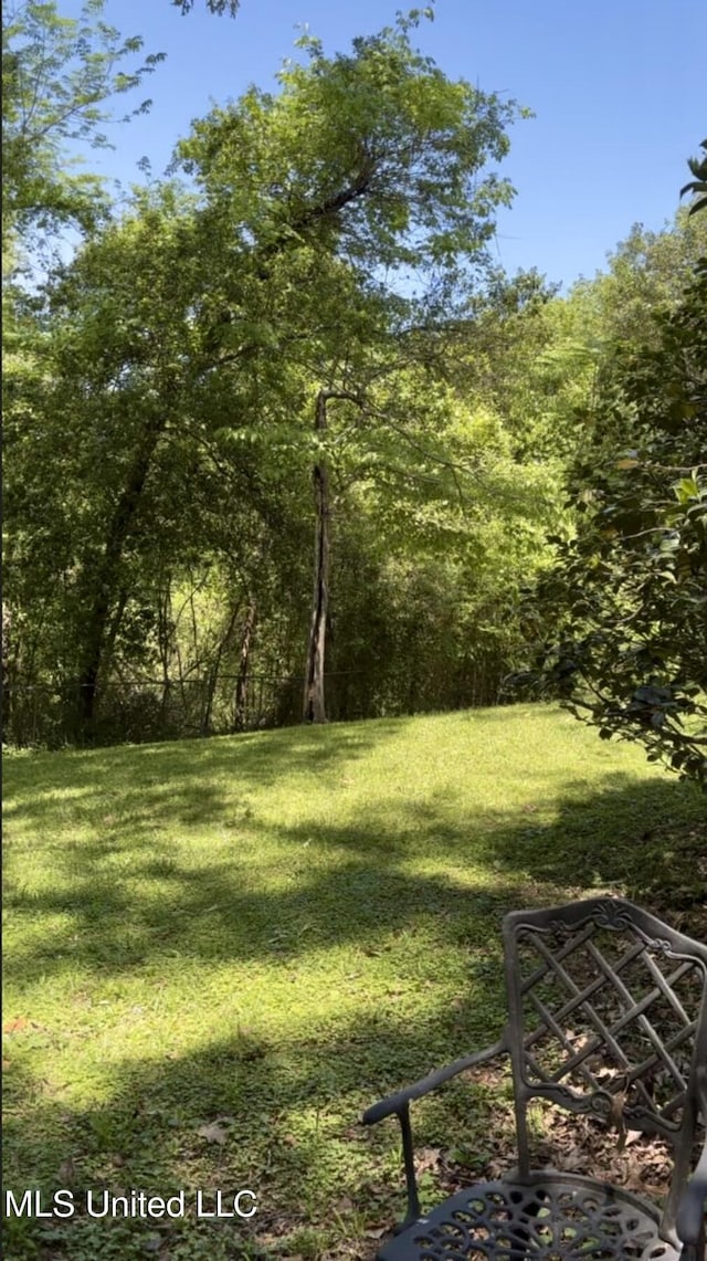view of yard featuring a view of trees