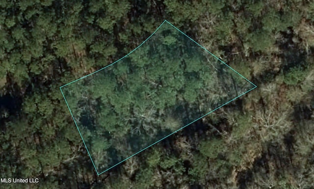 Kalalau Pl, Diamondhead MS, 39525 land for sale