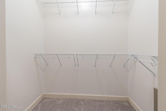 8679 Saddle Creek Dr, Olive Branch, MS 38654 - walk in closet with light colored carpet