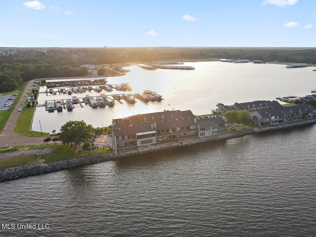 21 Breakers Ln, Ridgeland, MS 39157 - bird's eye view of a nearby body of water