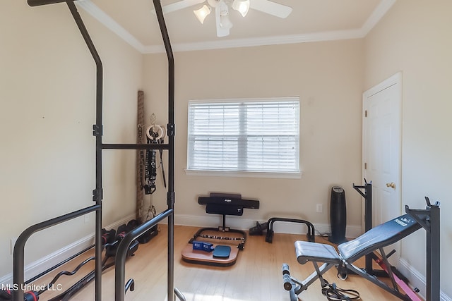 exercise area with ceiling fan, crown molding, baseboards, and wood finished floors