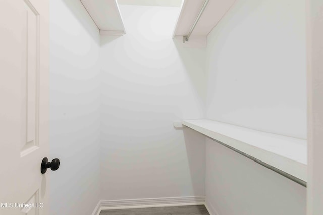 walk in closet with wood finished floors