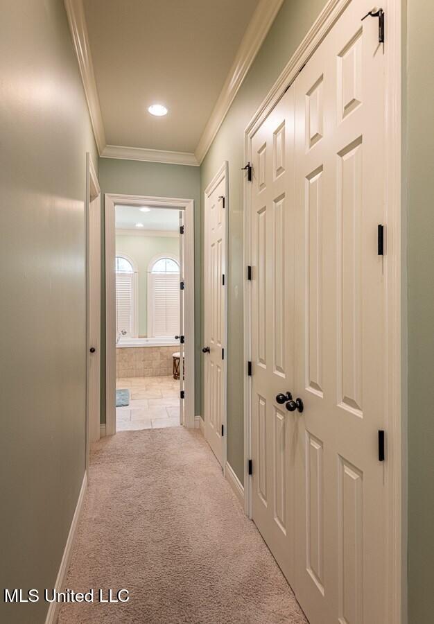 hall featuring light colored carpet and crown molding