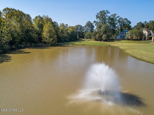 water view