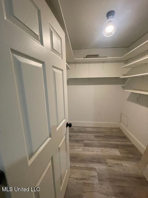 walk in closet with wood-type flooring