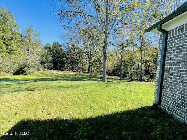 188 E Byhalia Creek Farms Rd, Byhalia, MS 38611 - view of green lawn