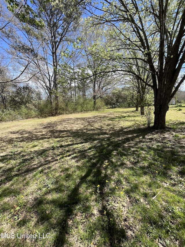 5020 Barrier Pl, Jackson, MS 39204 - view of yard