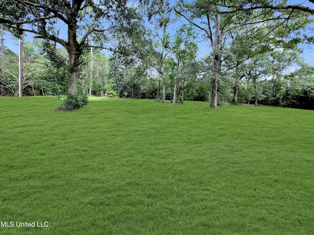 13456 John Clark Rd, Gulfport, MS 39503 - view of grassy yard