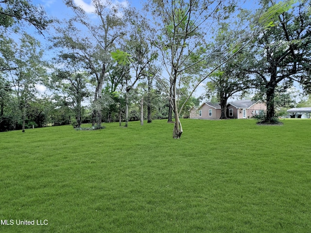 13456 John Clark Rd, Gulfport, MS 39503 - view of green lawn