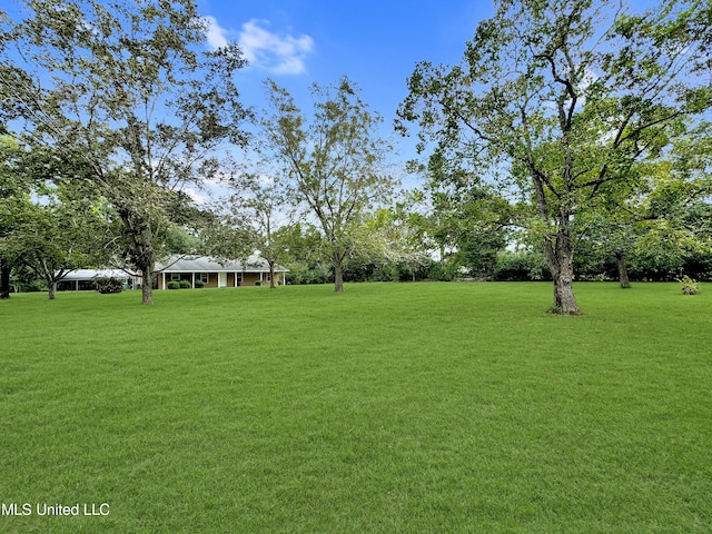 13456 John Clark Rd, Gulfport, MS 39503 - view of grassy yard