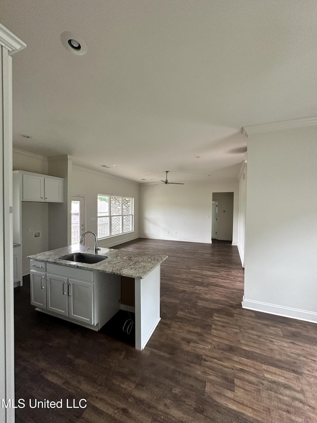 8 Shade Tree Dr, Carriere, MS 39426 - kitchen featuring crown molding, a sink, white cabinetry, open floor plan, and dark wood-style flooring