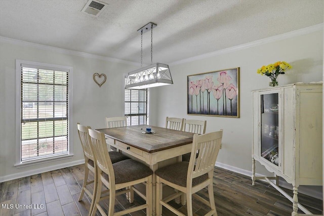 dining room featuring plenty of natural light, a textured ceiling, and dark hardwood / wood-style flooring