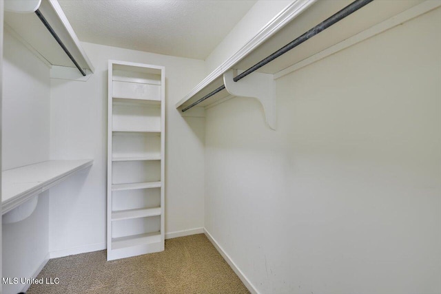 walk in closet with light colored carpet