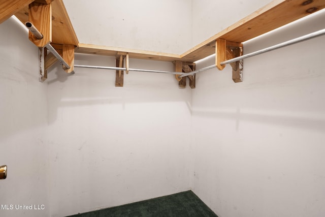 48 Brady Rd, Petal, MS 39465 - view of walk in closet