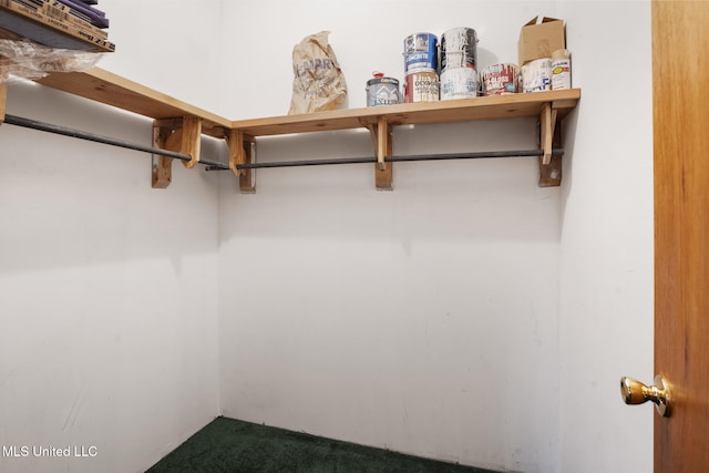 48 Brady Rd, Petal, MS 39465 - walk in closet featuring carpet floors