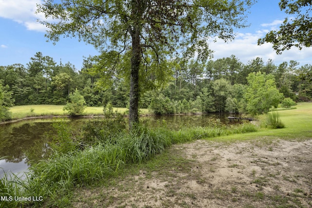 48 Brady Rd, Petal, MS 39465 - view of nature featuring a nearby body of water